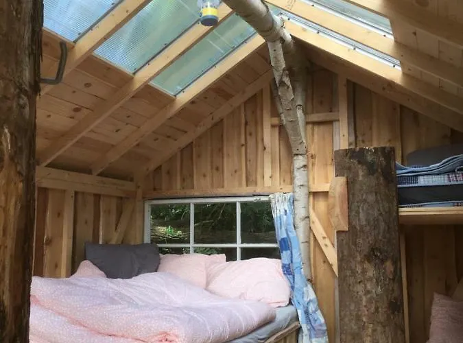 Treehouse B&B