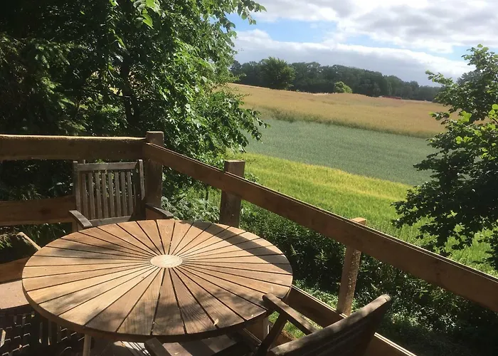 Treehouse B&B