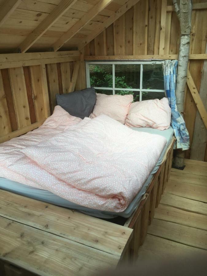 Frühstückspension Treehouse Rabjerg